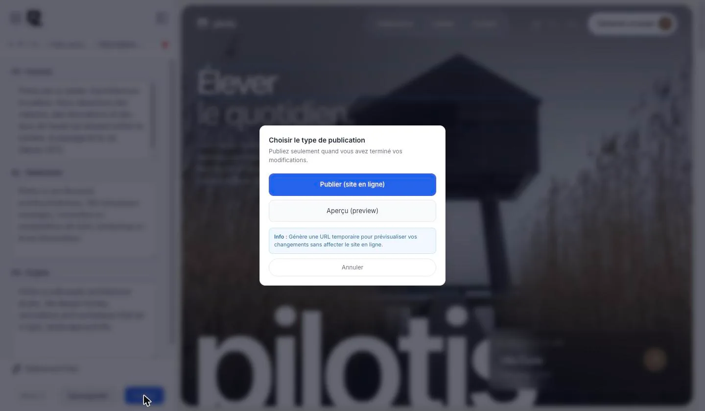 Fenêtre de publication avec le bouton Aperçu (preview) mis en évidence